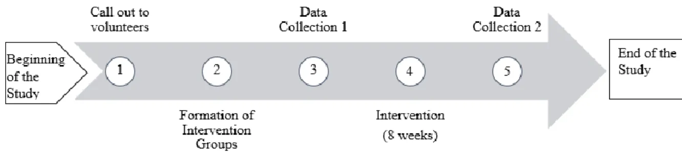 Figure 3.1.  Timeline of the Study 