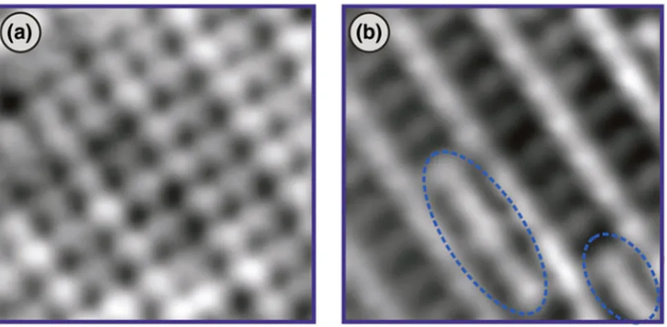 Fig. 2.7 a 2D map of interaction forces (2.89 nm × 2.89 nm) extracted from the 3D spectroscopy data in Fig
