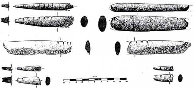 Figure 7   Notched batons from Hallan Çemi  