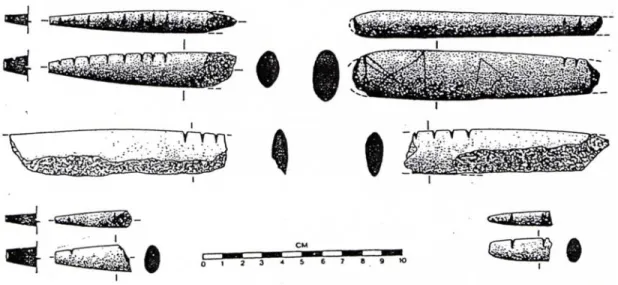 Figure 7   Notched batons from Hallan Çemi  