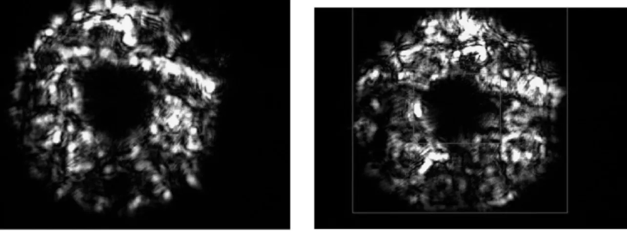 Figure 2.13: Turbulence induced image and Region result of the software