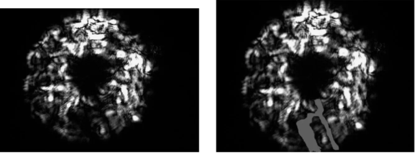 Figure 2.14: Turbulence induced problematic image and the Region that is caus- caus-ing problems