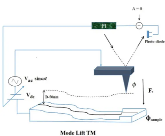 Figure 2.4: Second trace lifting of tip to detect electrostatic forces at surface Reproduced [65]