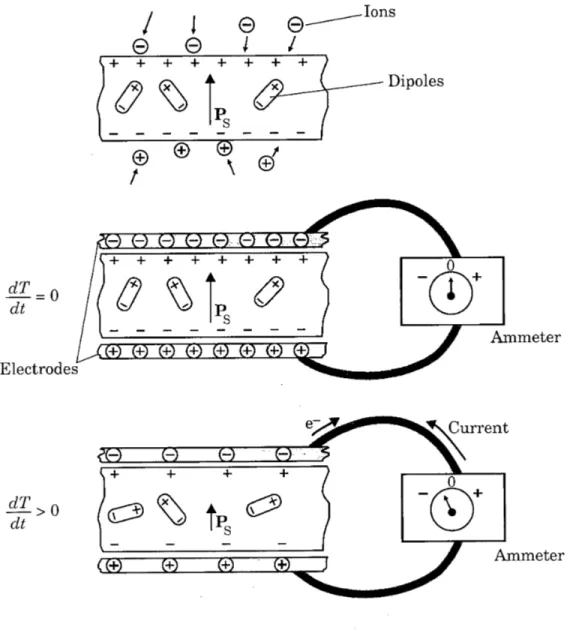 Figure 1.2: Schematic representation of pyroelectric detectors working principle [10]