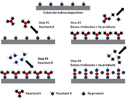 Figure 2.1: Schematic illustration of a single ALD cycle. 