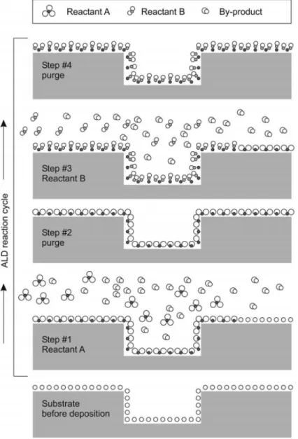 Figure 2.2: Simplified mechanism for one unit ALD reaction cycle. (Reprinted from ref [9] with the permission AIP Publishing)