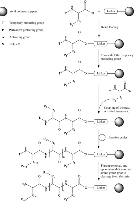 Figure 2.7: The principles of SPPS