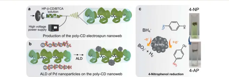 Fig. 1 (a) A schematic representation of the production of an electrospun poly-CD nanoweb and (b) subsequent surface decoration of the nanoweb with Pd-NPs by ALD