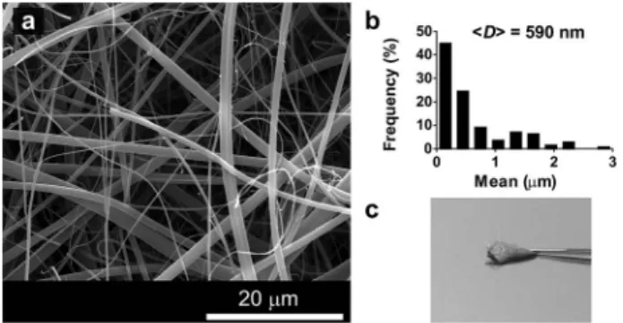 Fig. 6 (a) Scanning electron micrograph of the Pd@poly-CD nanoweb after its 5th use in the reduction of 4-NP