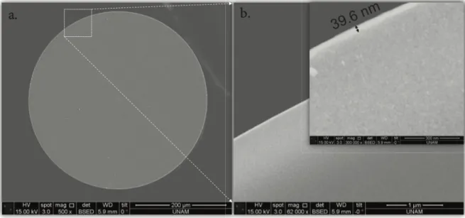 Figure 1 shows the thickness and morphological features using the SEM in the BEI modes