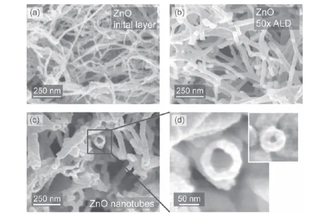 Figure 5. (a) A thin uniform ZnO layer formed on nanocellulose ﬁbrils after initial exposure to the zinc precursor