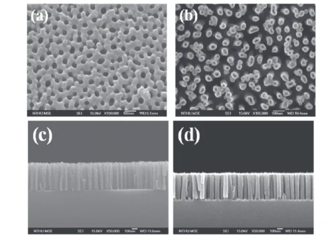 Figure 8. SEM images of (a), (c) TiO 2 in the AAO template, and (b), (d) pure TiO 2 nanotubes after removal of the AAO template