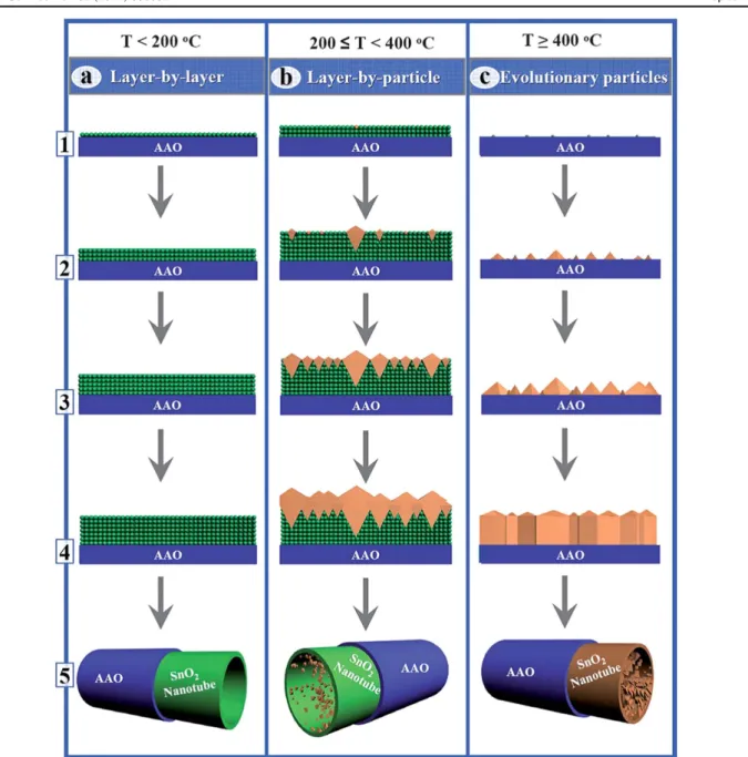 Figure 9. Three growth models for ALD-SnO 2 nanotube arrays. At a temperature lower than 200 °C, the ALD-SnO 2 was built up in AAO pores in a mode of (a) layer-by-layer growth, as schematically shown in (a1-4) with uniform ﬁlms of increasing thickness; in 