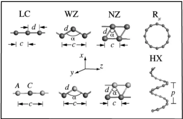 FIG. 1. Description of linear chain (LC), planar narrow angle zigzag (NZ) and wide angle zigzag (WZ), helix (HX), ring 共R N 兲 structures