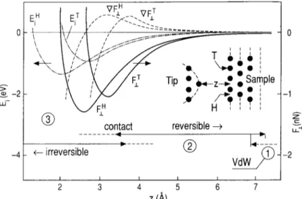 Fig.  1.  Interaction  energy  Ei,  perpendicular  force  F ± ,   and  force  gradient  VF±  (in  arbitrary  units) versus  separation  z  calculated  for  an  AI(001)  sample  and  tip  at  the  hollow  (H)  and  top  (T)  sites