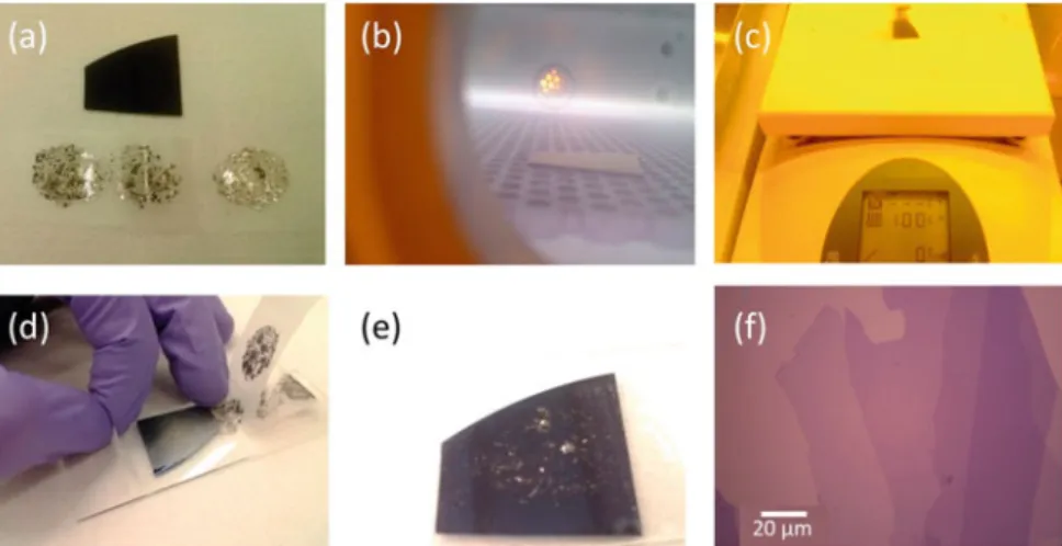 Fig. 1.2 a Tape with the 2D layers exfoliated from the bulk and the oxidized silicon chip is shown