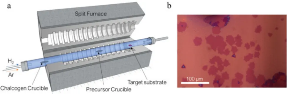 Fig. 1.3 a Schematic of a typical CVD split-tube furnace for 2D materials growth is shown