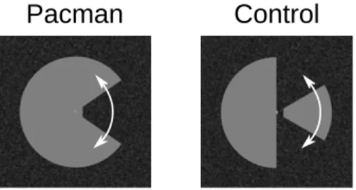 figure oscillates about the axis going through its center, the whole figure seems to oscillate even though the motion signals are only around its ‘‘mouth.’’ Importantly, when the oscillations are such that the local signals are confined to the right visual