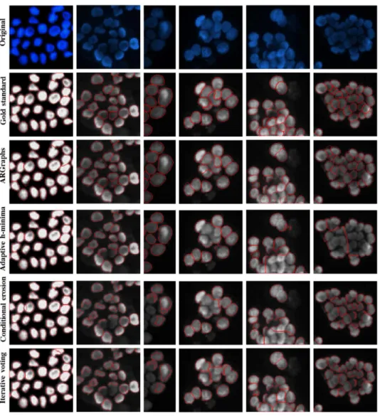 Fig. 10. Visual results obtained by the algorithms for various subimages. The image sizes have been scaled for better visualization.