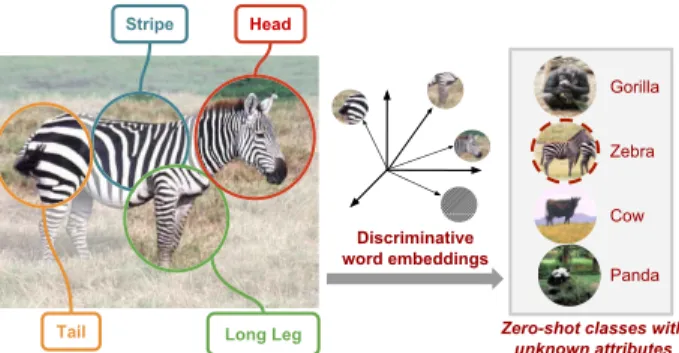 Figure 1: We propose a zero-shot recognition model based on attribute and class names
