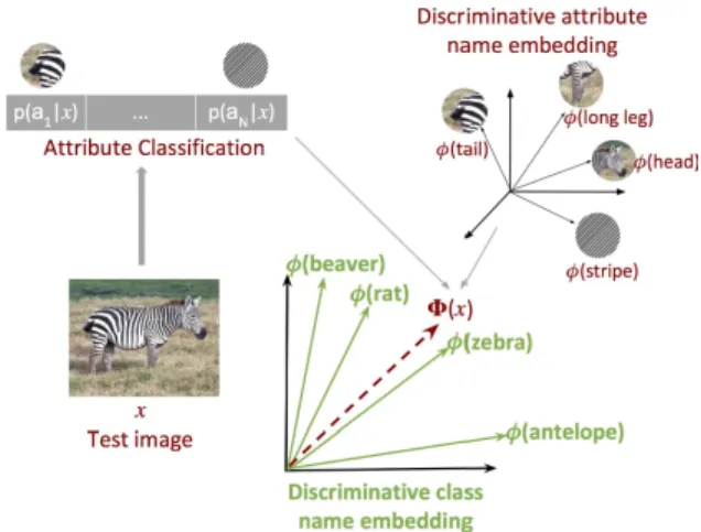 Figure 2: Illustration of our unsupervised zero-shot recog- recog-nition model. Prediction depends on the similarity between discriminatively learned representations of attribute  combi-nations and class names
