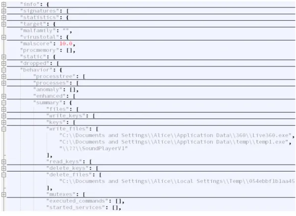 Figure 3.2: Example analysis report in JSON format.