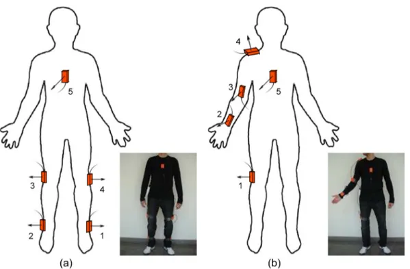 Fig. 4 – Sensor placement on the human body. (a) The ﬁrst and (b) second conﬁgurations are designed for leg and arm exercises, respectively