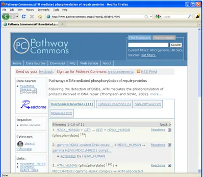 Figure 1.1: “ATM mediated phosphorylation of repair proteins” biological net- net-work shown in Pathway Commons [1]