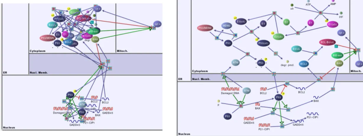 Figure 1.3: Random node positioning (left) and automatically laid out (right) versions of a biological network that respects cell compartments.