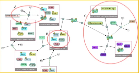 Figure 1.5: Result of an automated layout algorithm applied on a biological process diagram