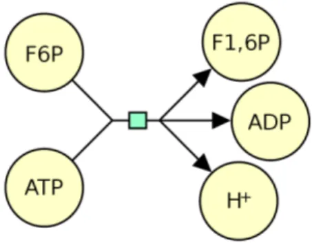 Figure 2.4: Reaction between ATP and fructose-6-phosphate to produce fructose- fructose-1,6-biphosphate, ADP and a proton [5].