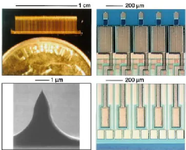 FIG. 1. Schematic illustration of the expandable cantilever design with in- in-tegrated piezoresistive sensor and inin-tegrated ZnO actuator