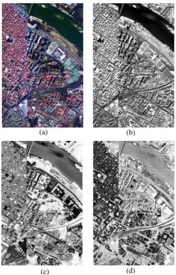 Fig. 3. False-color image (generated using the bands 68, 30, and 2) and the first three PCA bands of the Pavia data set (a missing vertical section in the middle was removed)