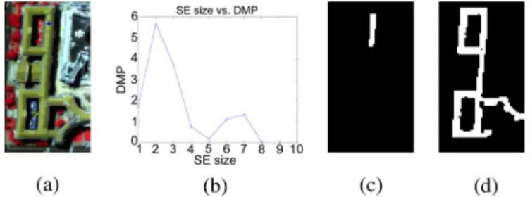 Fig. 4. Greatest value in the DMP of the pixel marked with a blue + in (a) is obtained for the SE size 2 [derivative of the opening profile is shown in (b)].