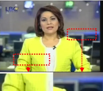 Fig. 2. In-focus objects have sharper edges and higher contrast than out- out-of-focus objects.