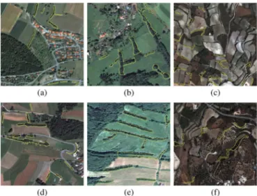 Fig. 1. Example QuickBird images (pan-sharpened visible bands) containing linear strips of woody vegetation marked with a yellow boundary by an expert