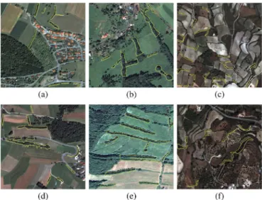 Fig. 1. Example QuickBird images (pan-sharpened visible bands) containing linear strips of woody vegetation marked with a yellow boundary by an expert