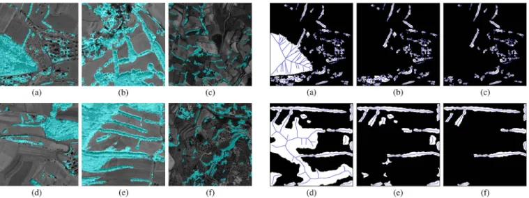 Fig. 3. Example results for woody versus nonwoody vegetation classification after morphological cleaning of the connected components obtained from the pixel-level classification results