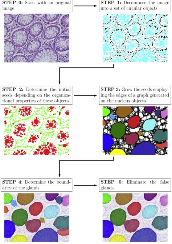 Fig. 3. Overview scheme of the proposed method.