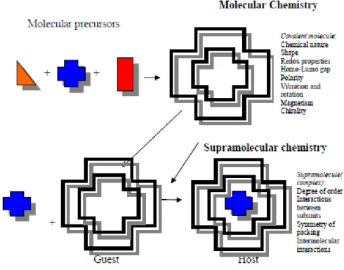 Figure 2. Comparison between the scope of molecular and supramolecular chemistry  according to Lehn