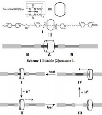 Figure 11. Switching cycle of bistable [2]rotaxane in the presence of CB6. 31