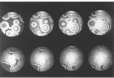 Figure 19. Target patterns and spiral waves in the Belousov-Zhabotinsky          reaction observed in a Petri dish
