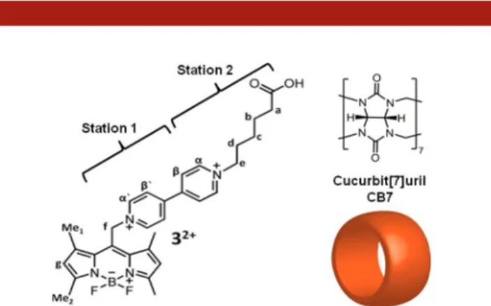 Figure 1. Structure of the fluorogenic “axle unit” with two potential stations for CB7.