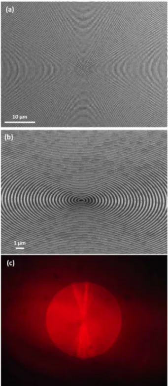 Figure 1. SEM images of the circular Bragg grating (a thin layer of PEDOT:PSS was spin-coated to avoid charge accumulation) observed at (a) 0 ° and (b) 45°