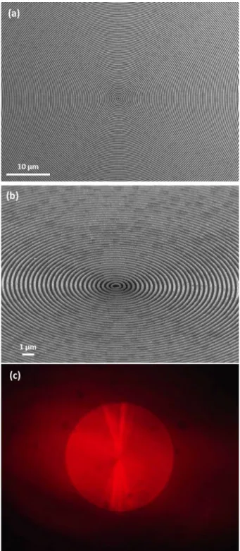 Figure 1. SEM images of the circular Bragg grating (a thin layer of PEDOT:PSS was spin-coated to avoid charge accumulation) observed at (a) 0 ° and (b) 45°