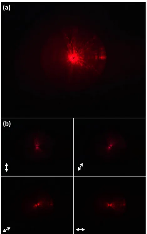 Figure 4. (a) Far-ﬁeld radiation images that were captured via a CCD camera, when the CQD-CG-DFB laser was operating above the lasing threshold.