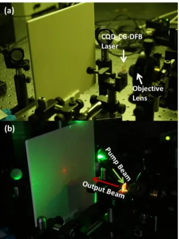 Figure 5. Demonstration of the spatial coherence of the output laser beam from the CQD-CG-DFB device