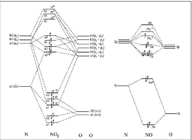 Figure 5.Molecular orbital diagrams of NO and NO 2  [37] 