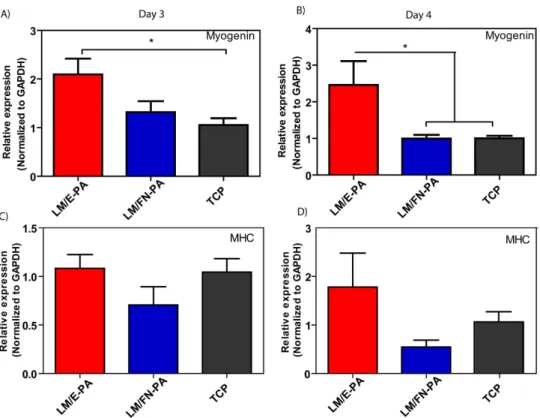 Figure 6.  Gene expression analysis of C2C12 cells cultured on nanofiber networks after myogenic  induction
