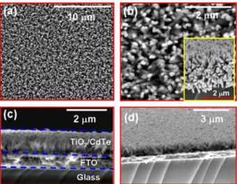 Figure 1a and b shows the top view SEM images of TiO 2 NR grown on a FTO pcoated glass substrate 